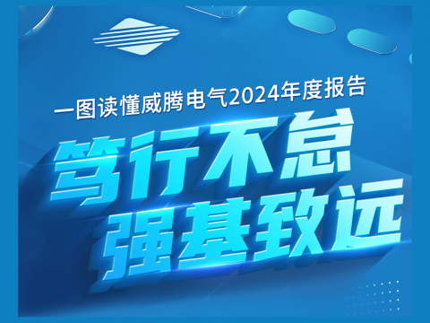 一图读懂1066vip威尼斯电气2024年度报告